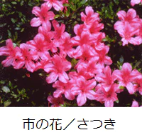 三木市の花：さつき